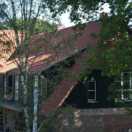 Hotel Ferien Hohes Elbufer Schnakenbek Exteriér fotografie